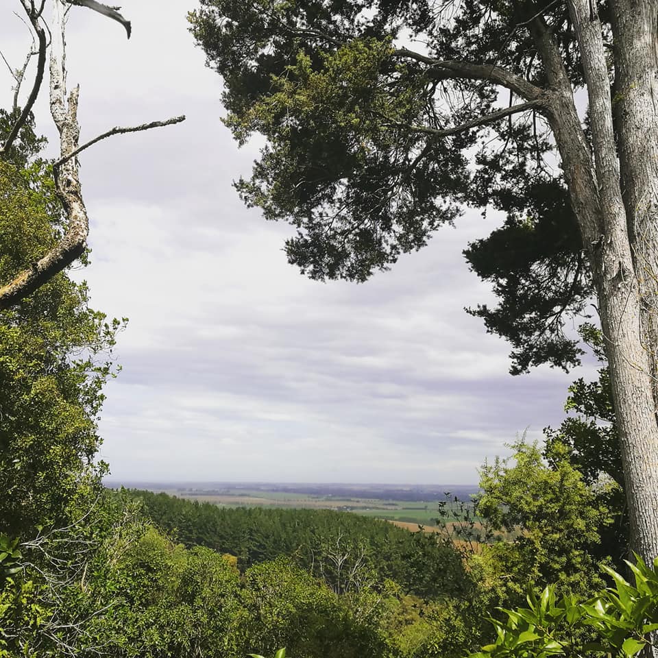 Waitohi Scenic Reserve Roselyn Fauth 2020 3
