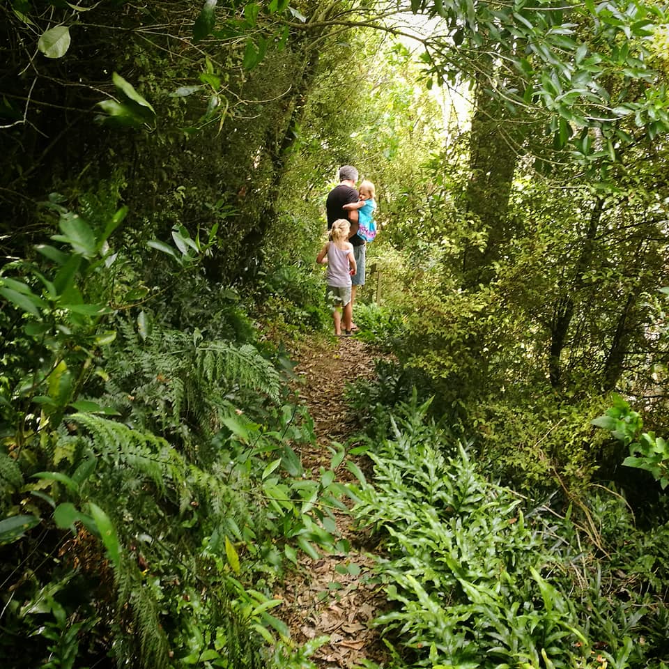 Waitohi Scenic Reserve Roselyn Fauth 2020 4