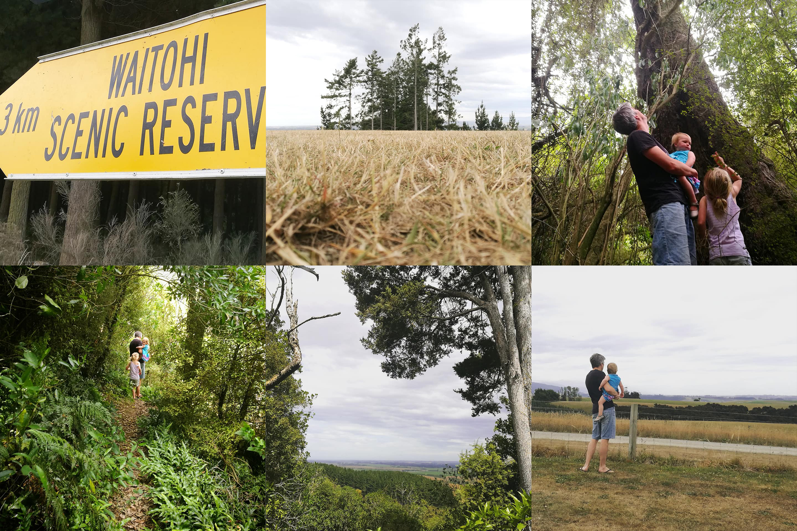 Waitohi Scenic Reserve Roselyn Fauth 2021