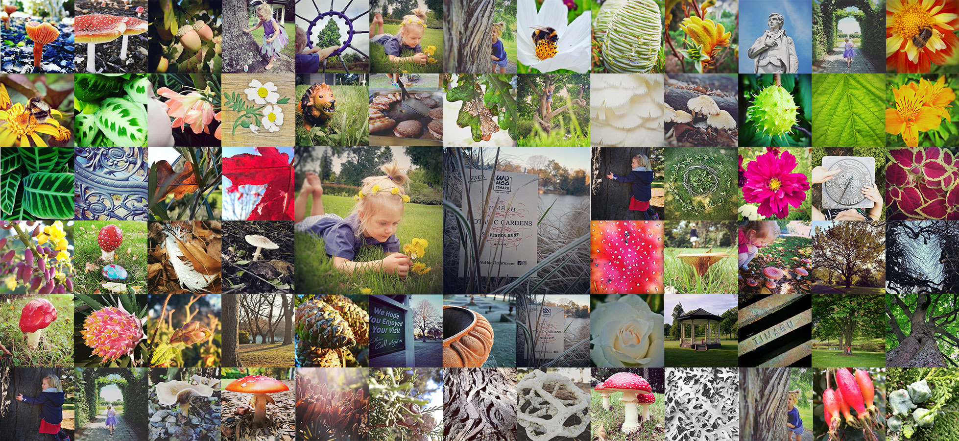 WhuHoo Timaru Collage BotanicGardens Cover Web