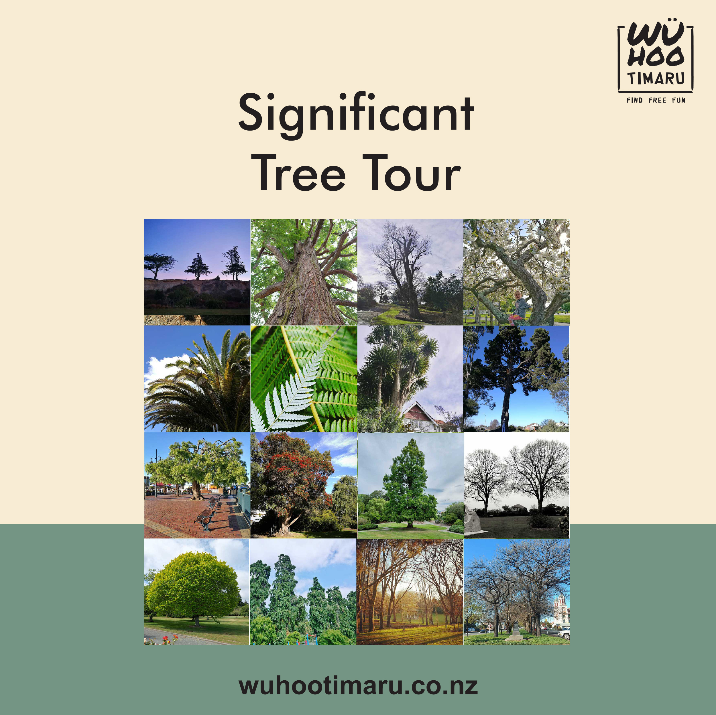 WuHoo CBD Tree Tour 250409 tile