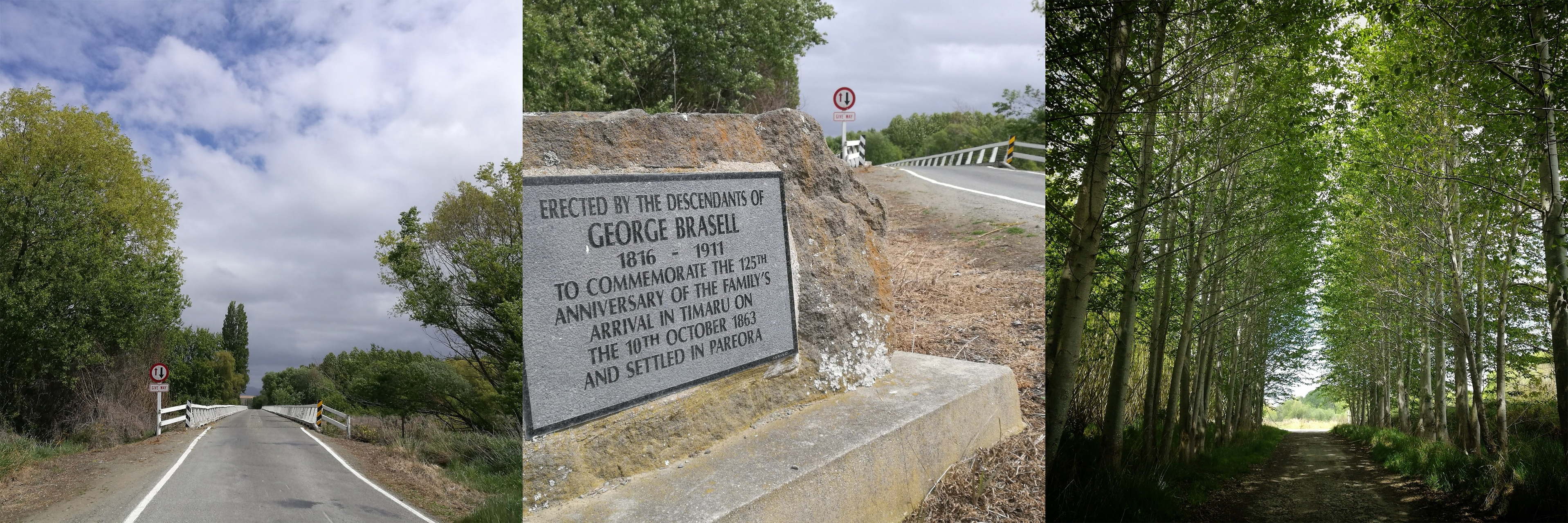 WuHooTimaru BrasellBridge Roselyn Fauth