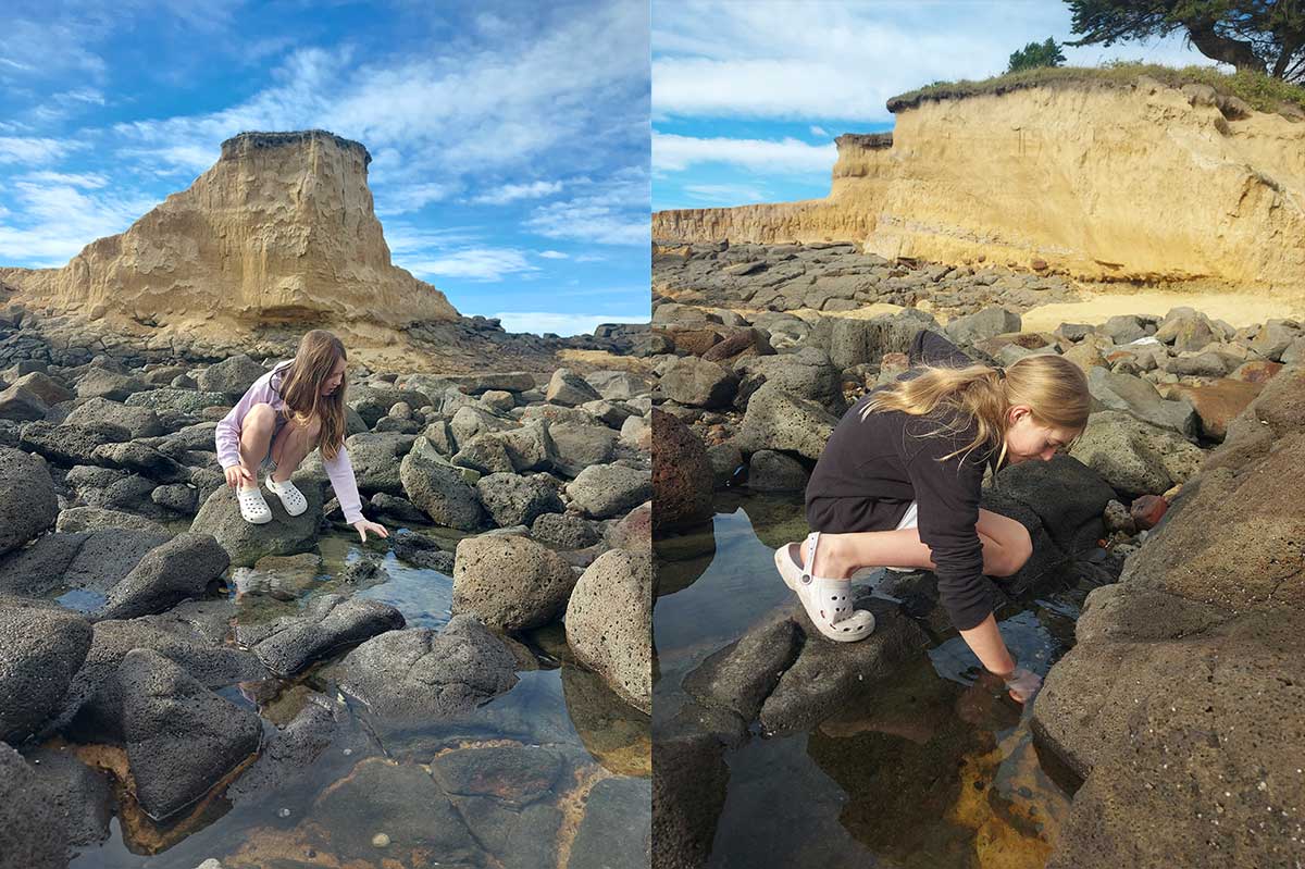 WuHooTimaru Dashing Rocks RFauth 2026 101007
