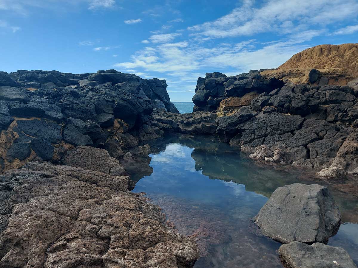 WuHooTimaru Dashing Rocks RFauth 2026 view east 101228 lowtide