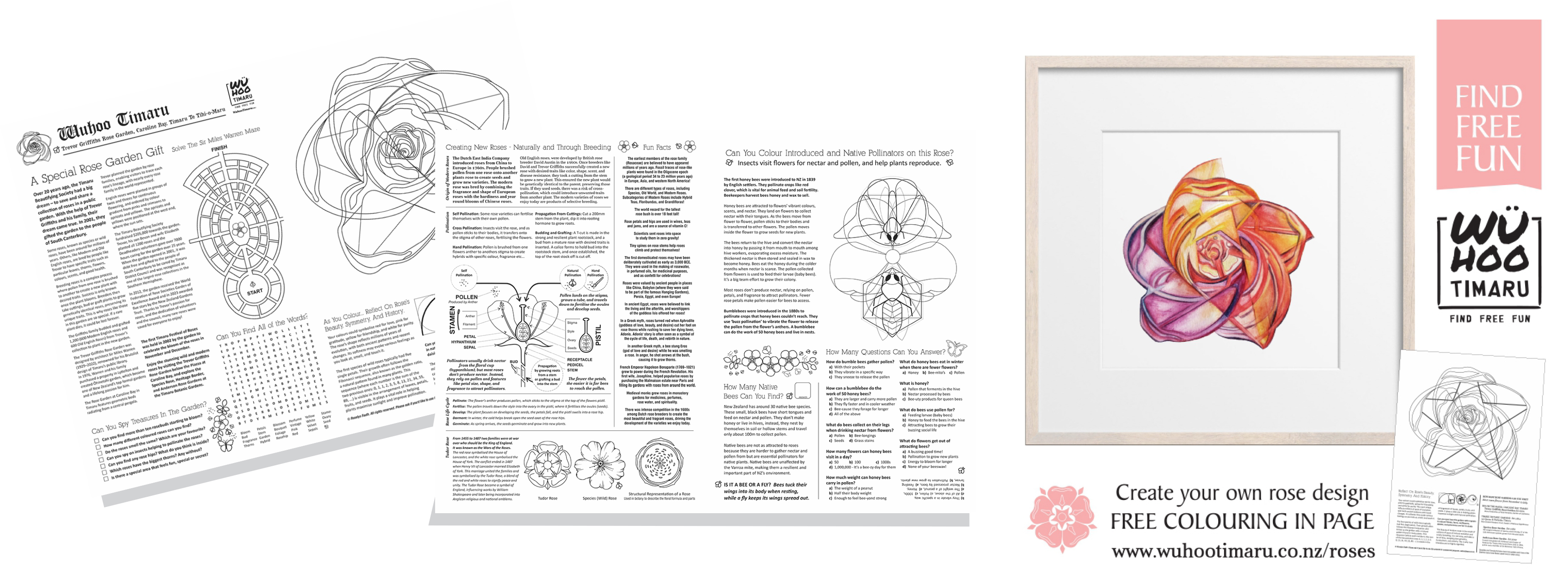 WuHooTimaru RoseHunt