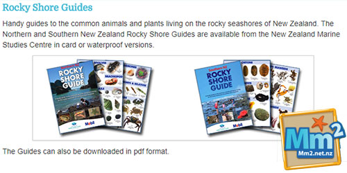 Wuhoo FreeFun RockyShoreGuides