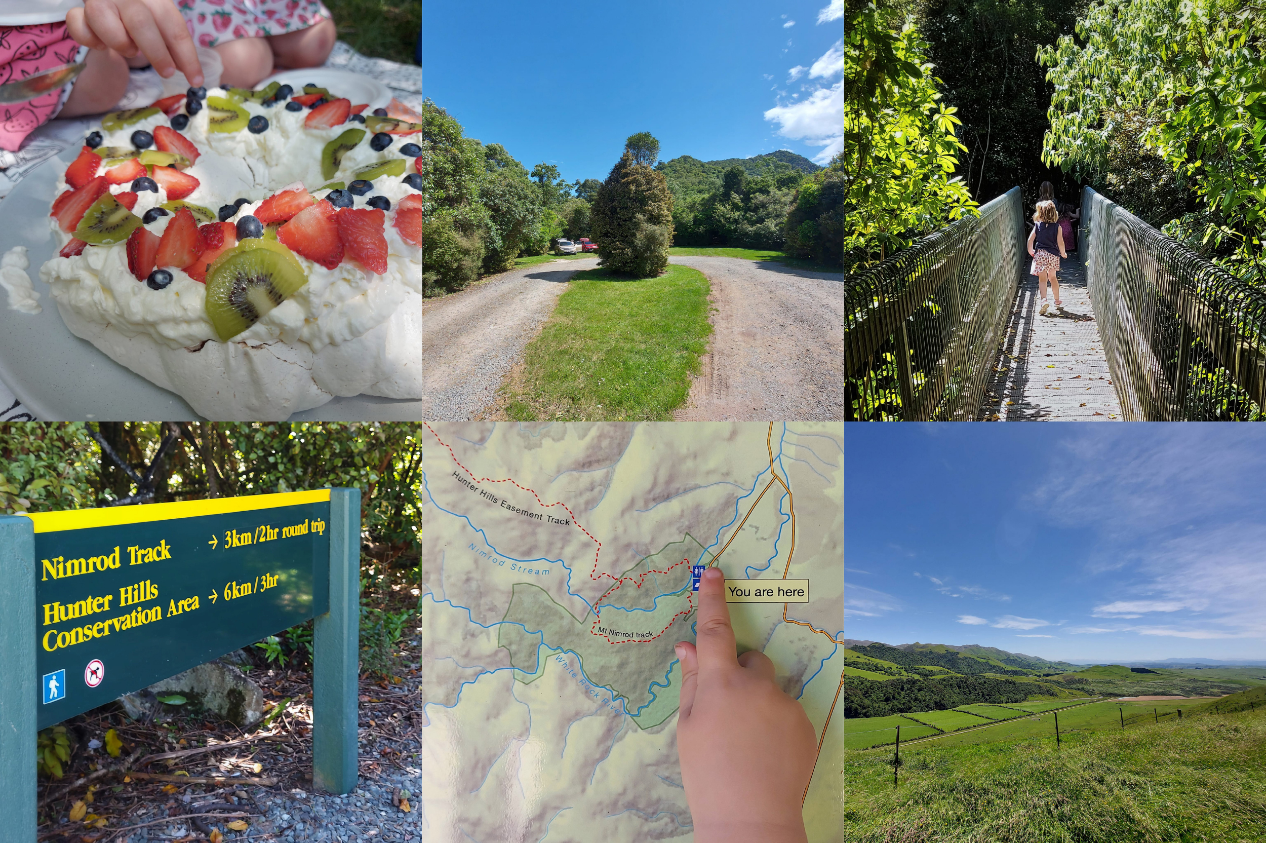 a pavelova picnic at Mt Nimrod Scenic Reserve WuHoo Timaru Roselyn Fauth Montage