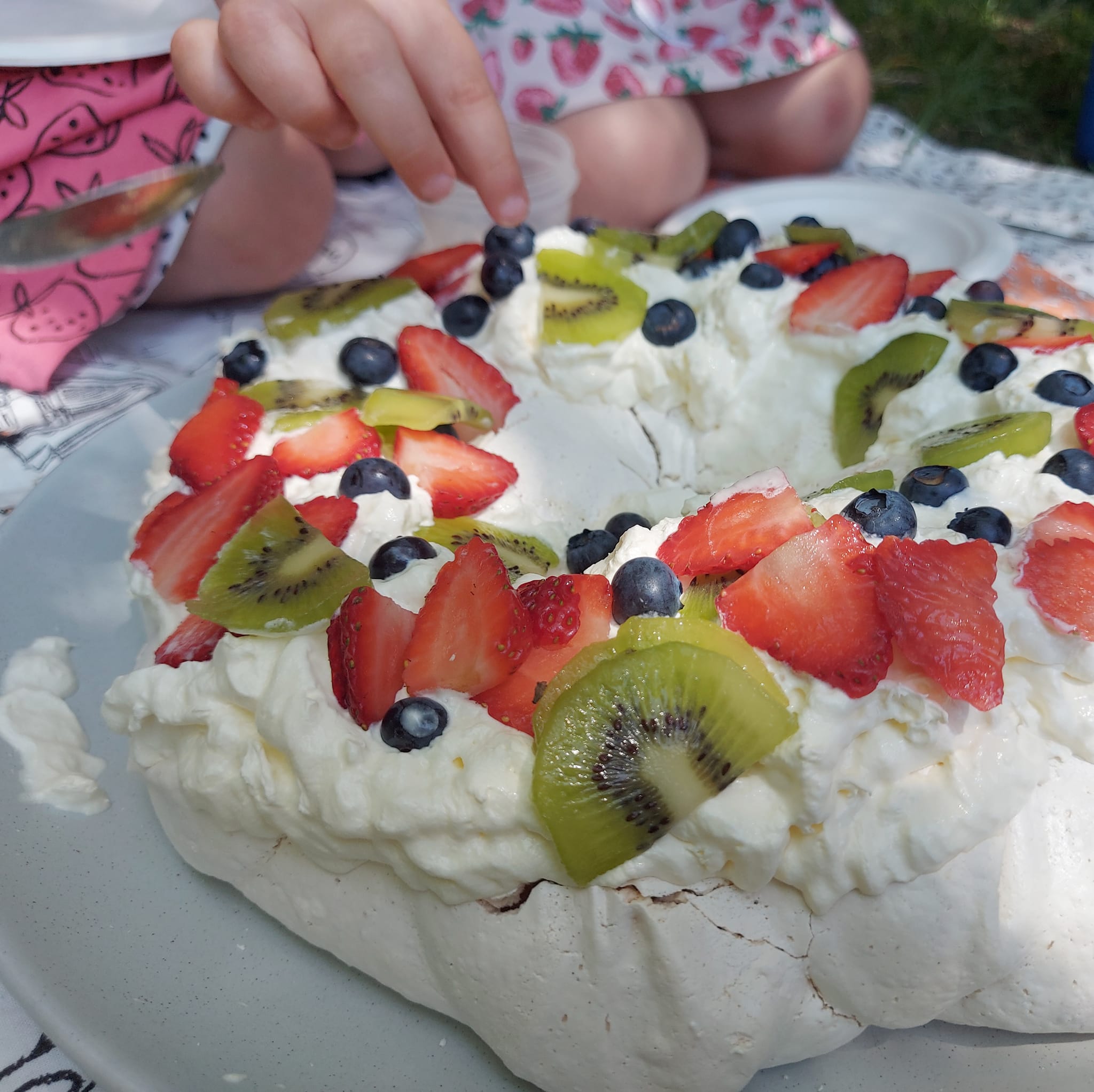 a pavelova picnic at Mt Nimrod Scenic Reserve WuHoo Timaru Roselyn Fauth