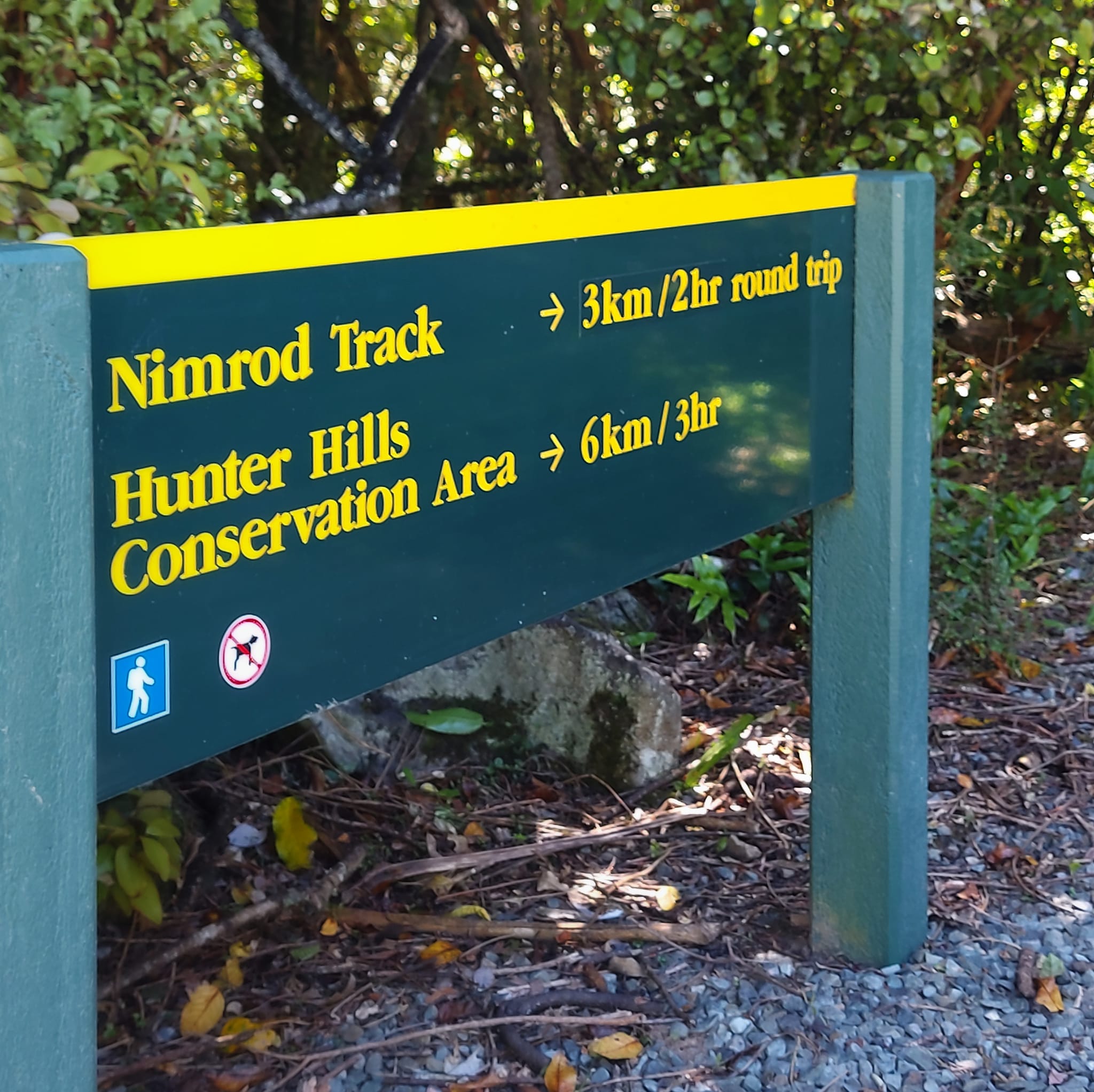 a pavelova picnic at Mt Nimrod Scenic Reserve WuHoo Timaru Roselyn Fauth 2