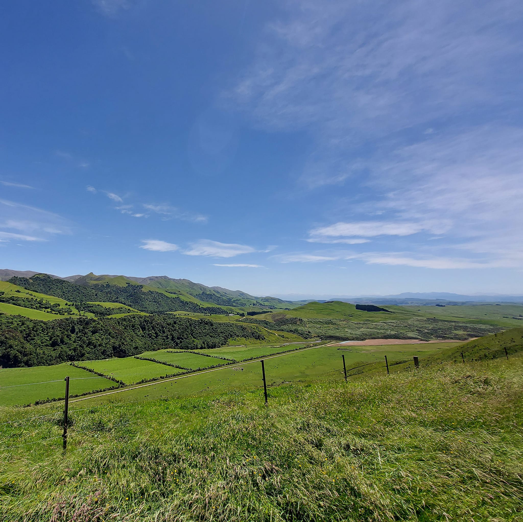 a pavelova picnic at Mt Nimrod Scenic Reserve WuHoo Timaru Roselyn Fauth 4