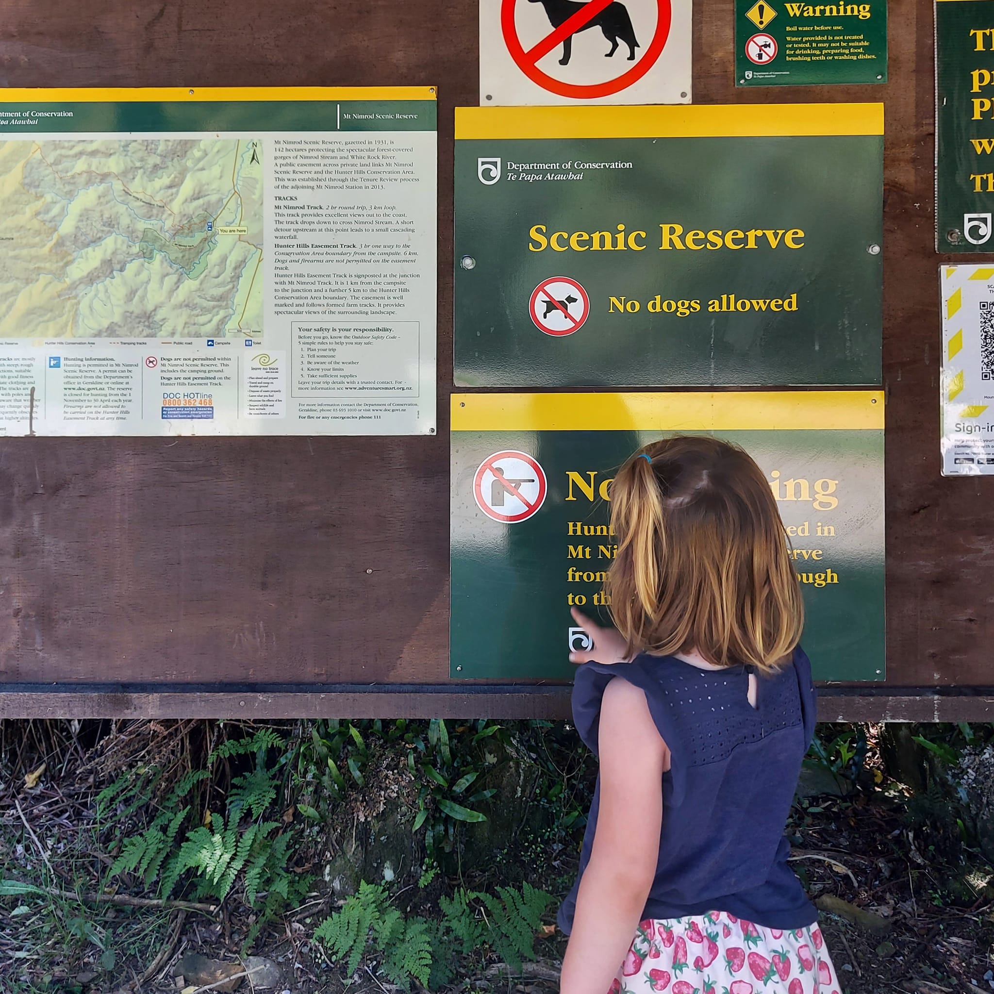 a pavelova picnic at Mt Nimrod Scenic Reserve WuHoo Timaru Roselyn Fauth 4