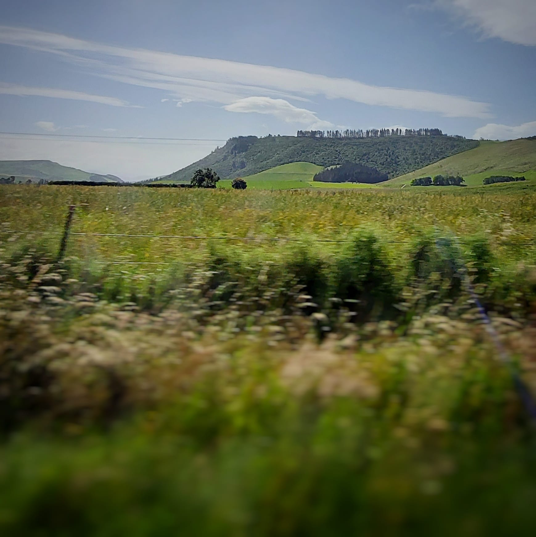 a pavelova picnic at Mt Nimrod Scenic Reserve WuHoo Timaru Roselyn Fauth 4
