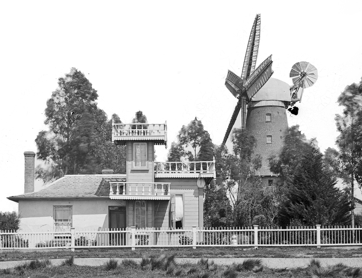 MA I470632 TePapa Timaru full Crop