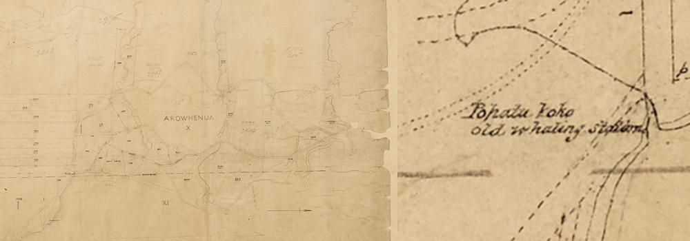 Map PohatuKoko ArchivesNewZealand R22668176 01 Print Whaling