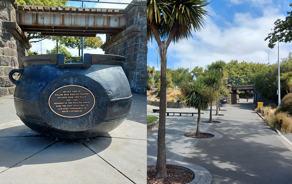 Pohatukokostream Whaling