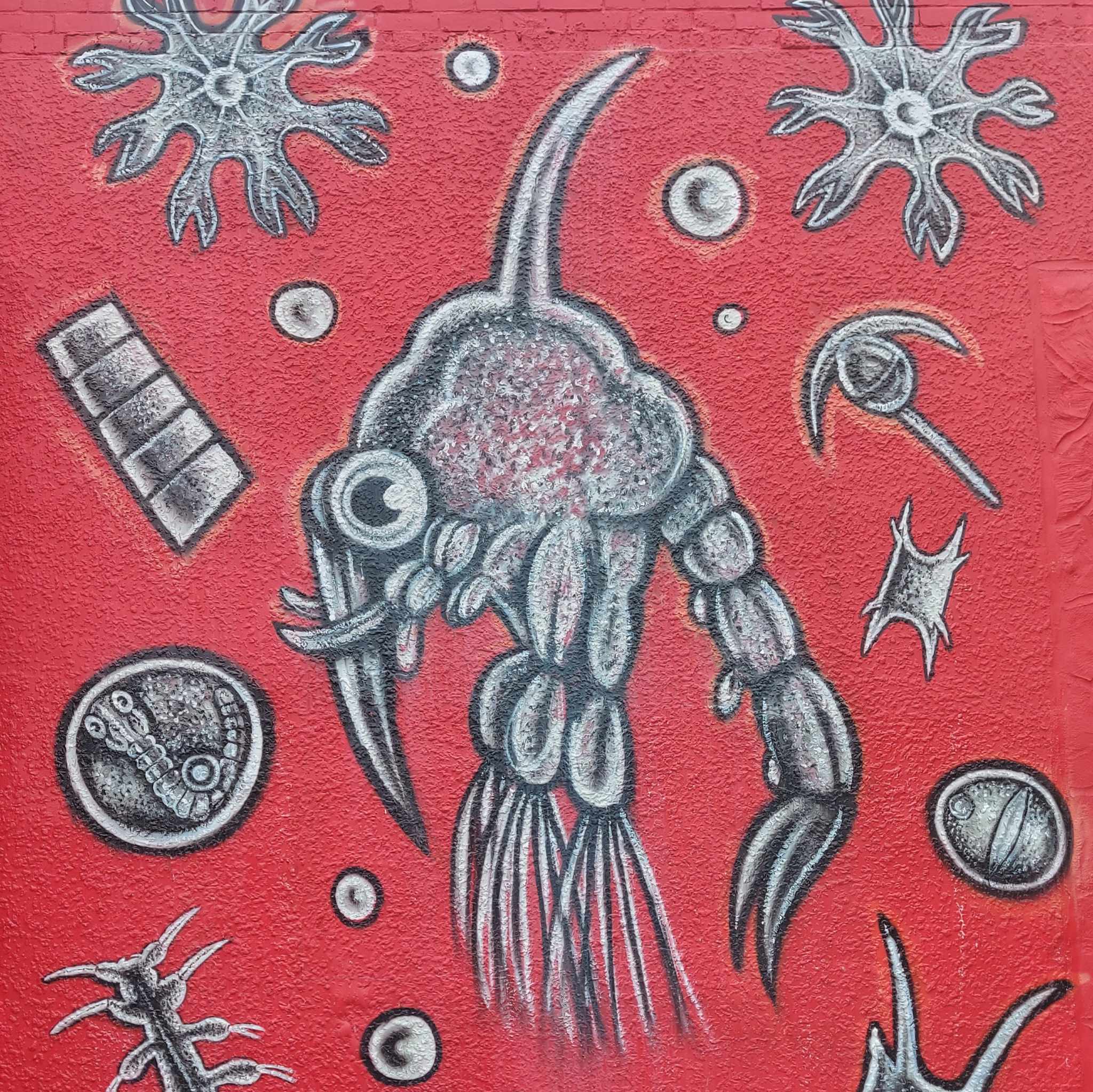 Section of Street Art by Toothfish Plankton on Willmotts wall