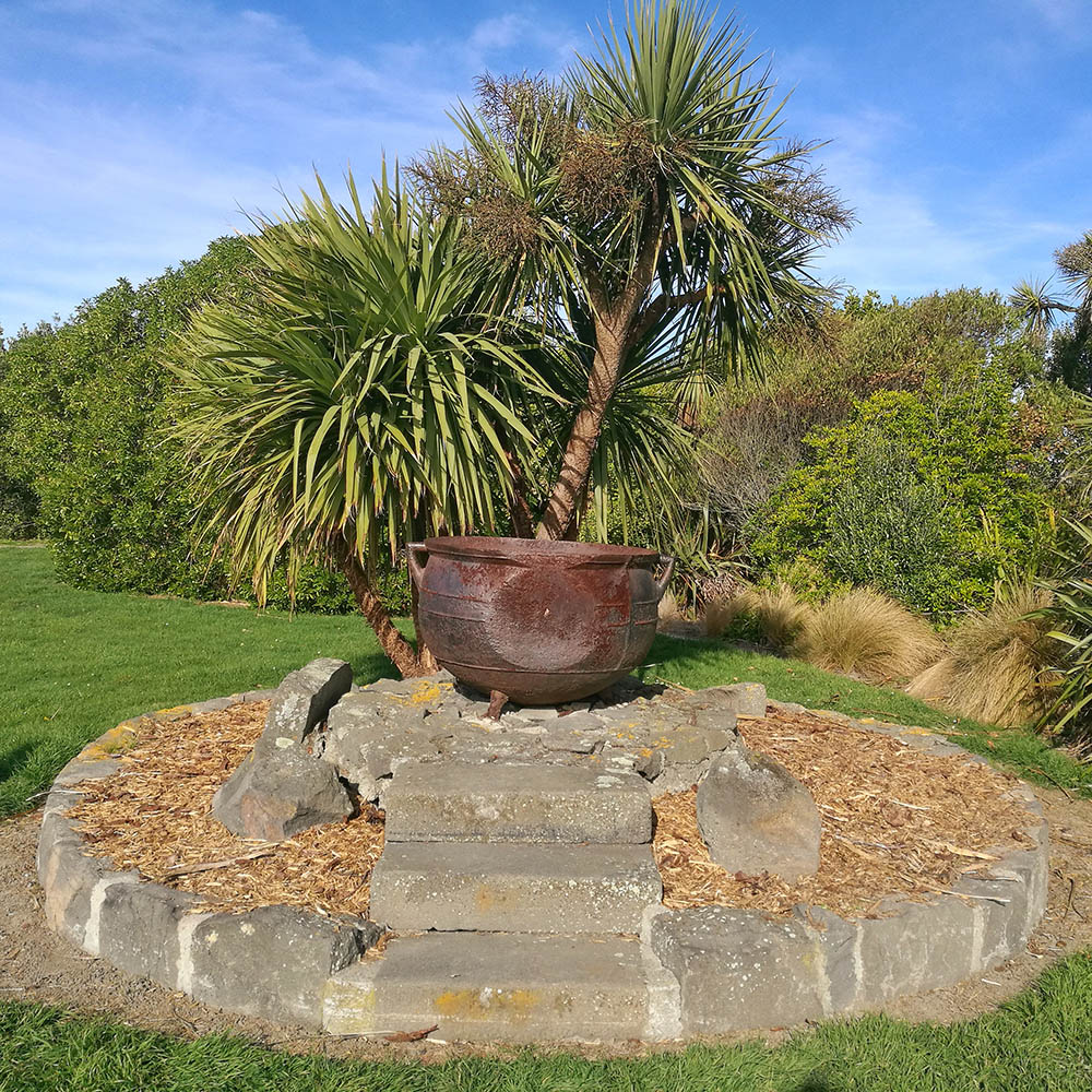 WuHooTimaru PatitiPoint 131239 01