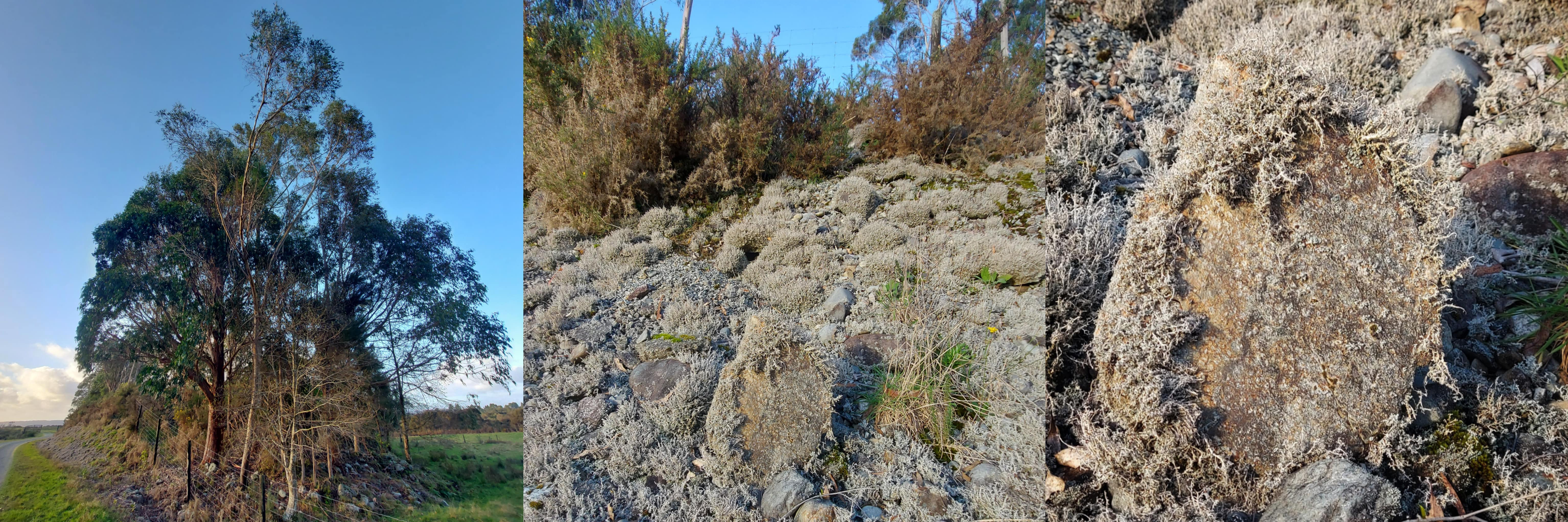 fac07b0f dd7e 4172 88d6 be4b9366ea2d