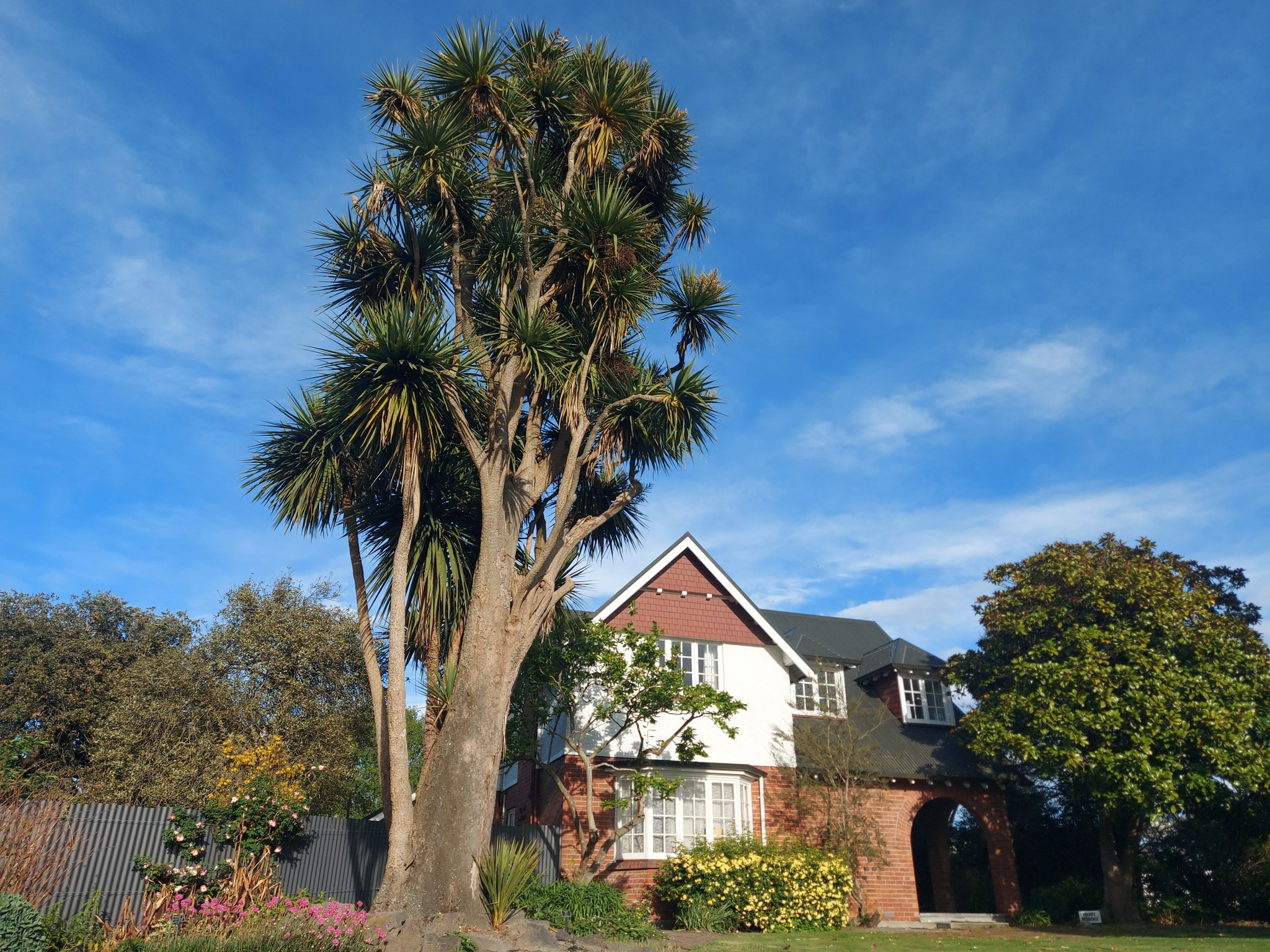 care takers cottage timaru botanic gardens and ti kouka tree