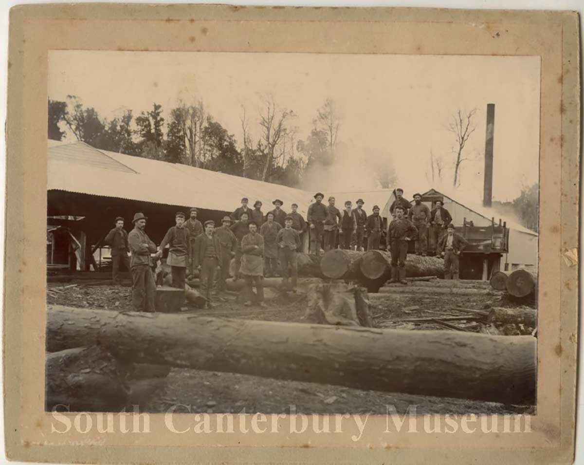 mployees of John Jacksons Co Ltd Timaru posed at bush mill c 1900 South Canty Museum 2764