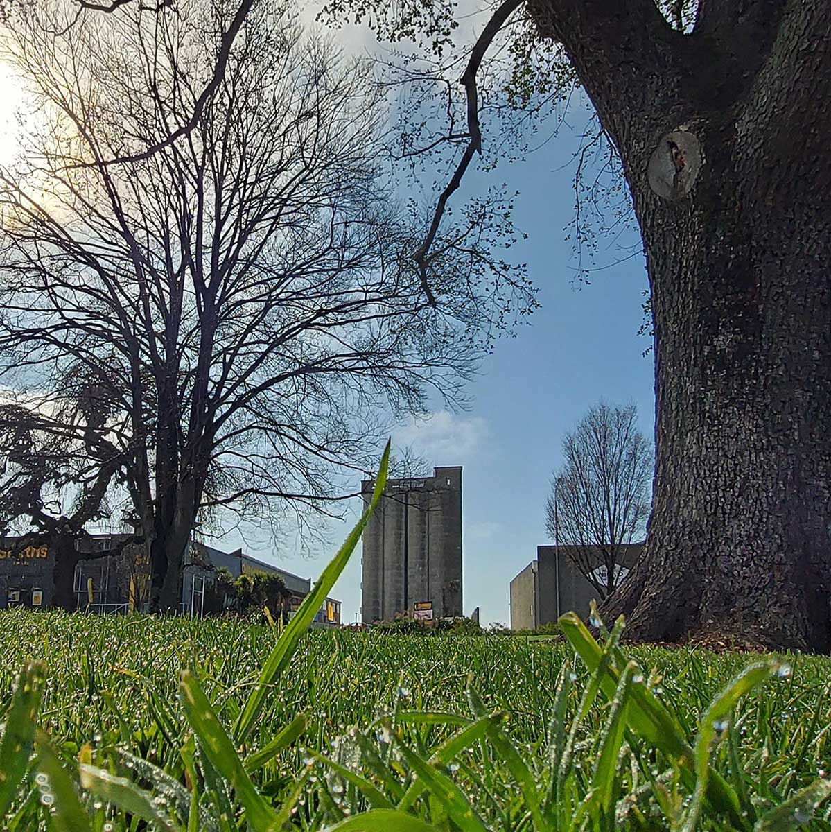 WuHoo Timaru Market Place Alexandra Square 002