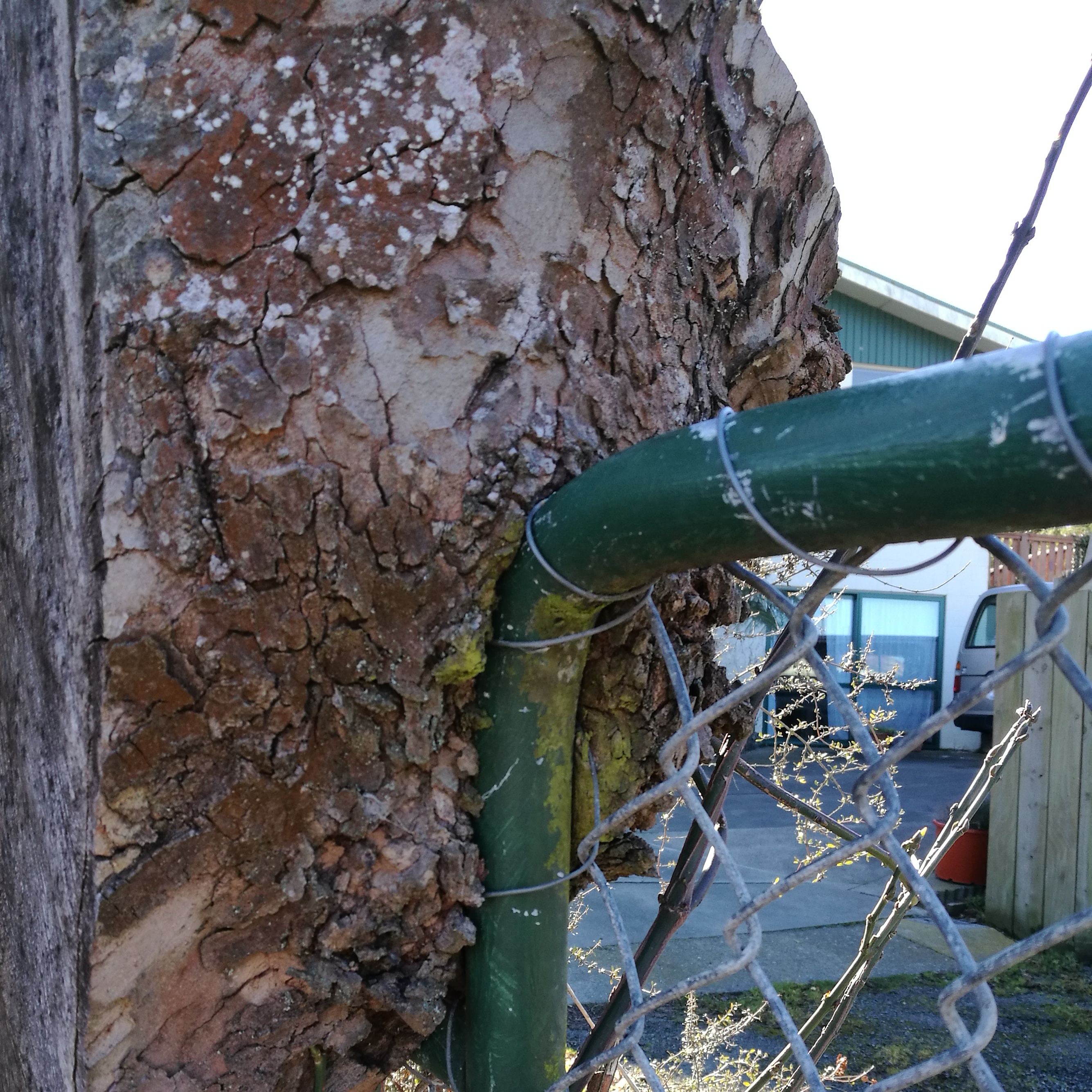 WuHoo Playground Anysley RhodesSt 114204 01