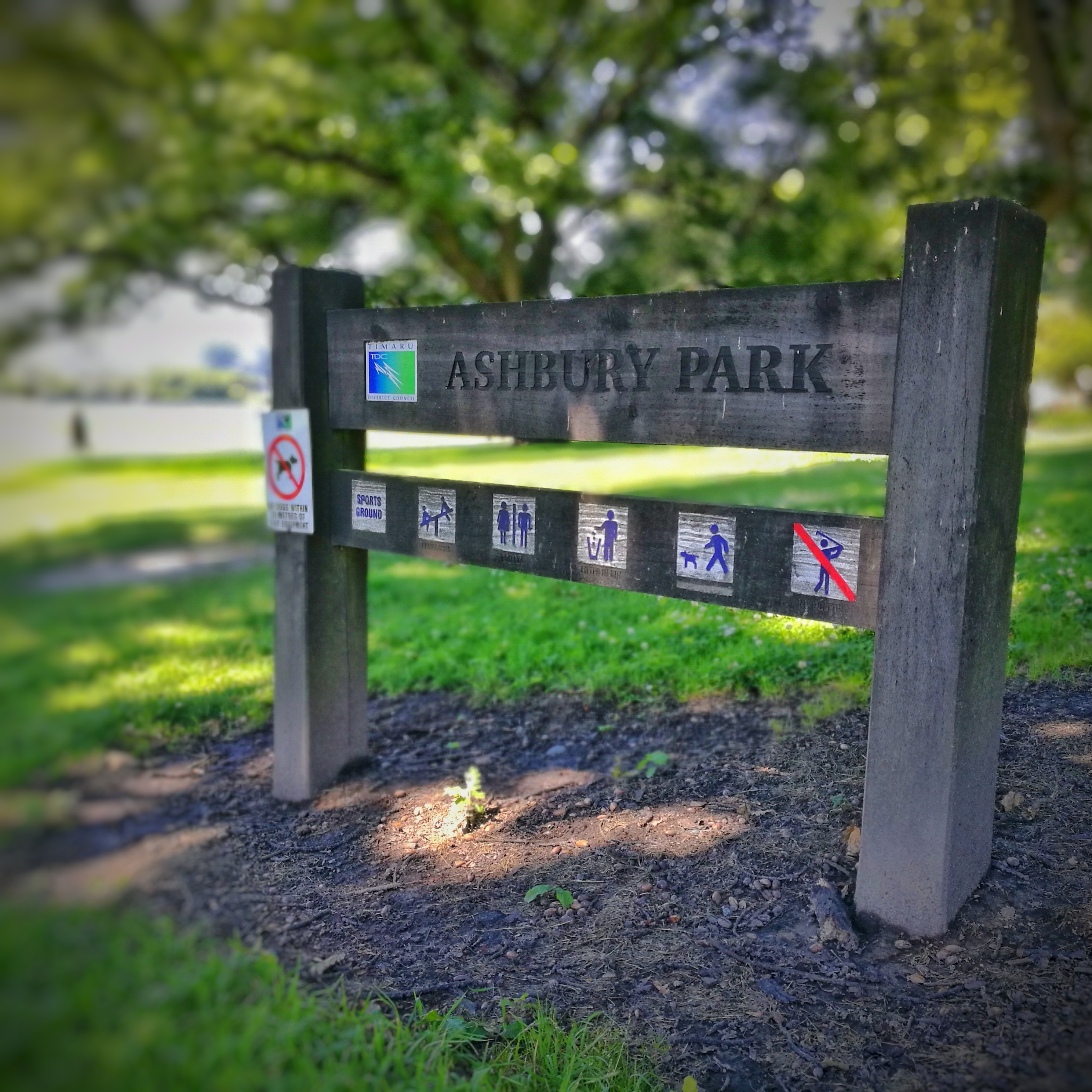 WuHoo Playground AshburyPark 155709 01