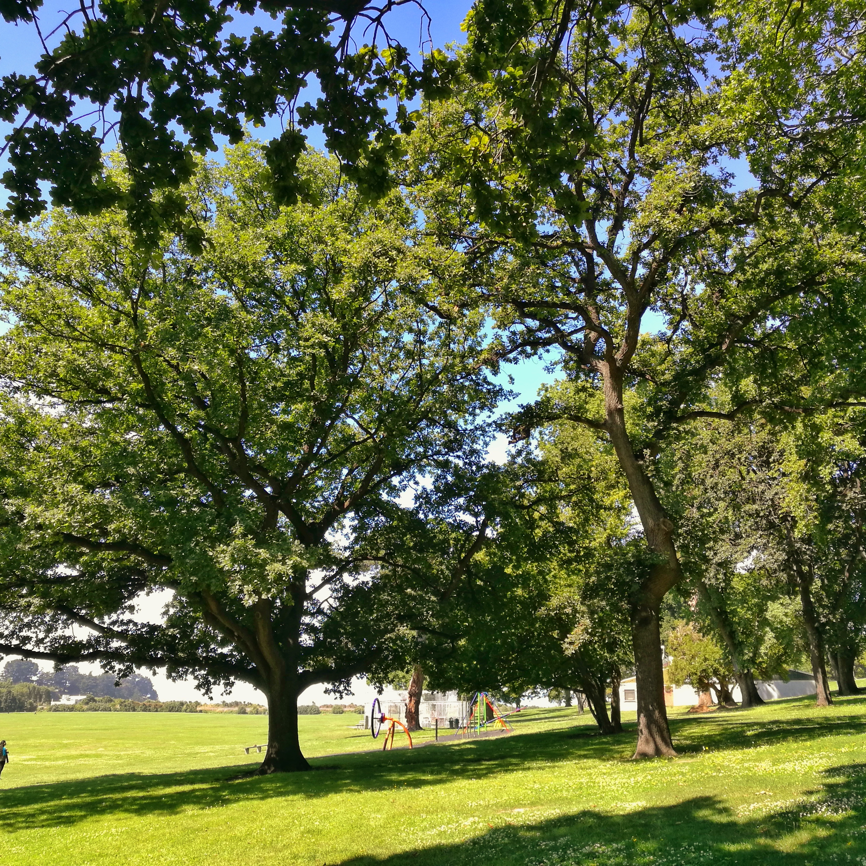 WuHoo Playground AshburyPark 155719 01