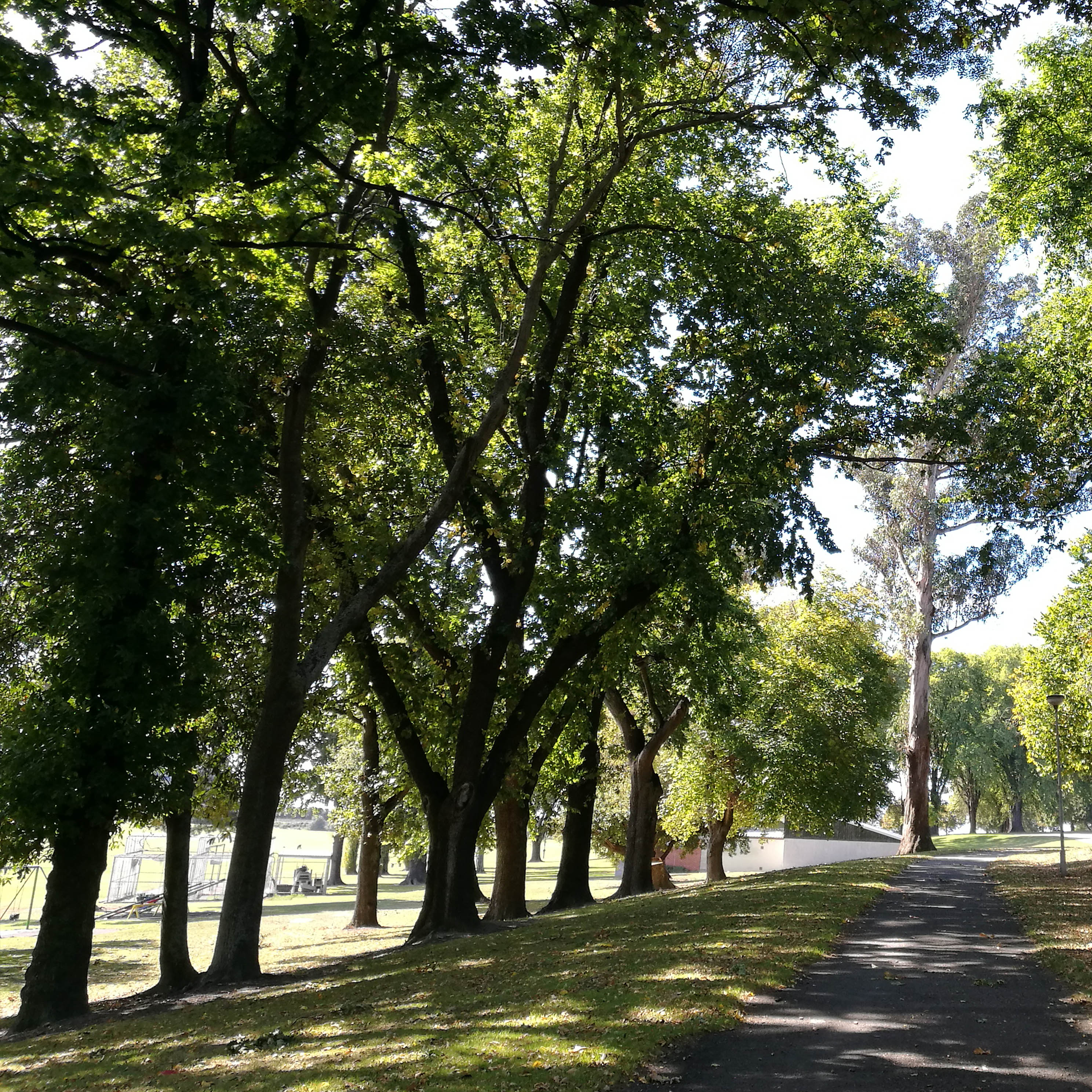 WuHoo Playground AshburyPark_130550_1