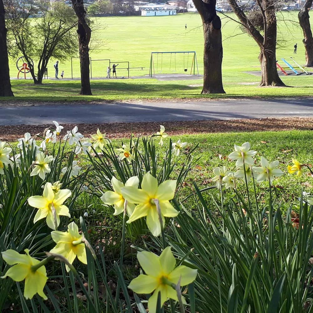 WuHooTimaru AshburyPark 0000 9818049536