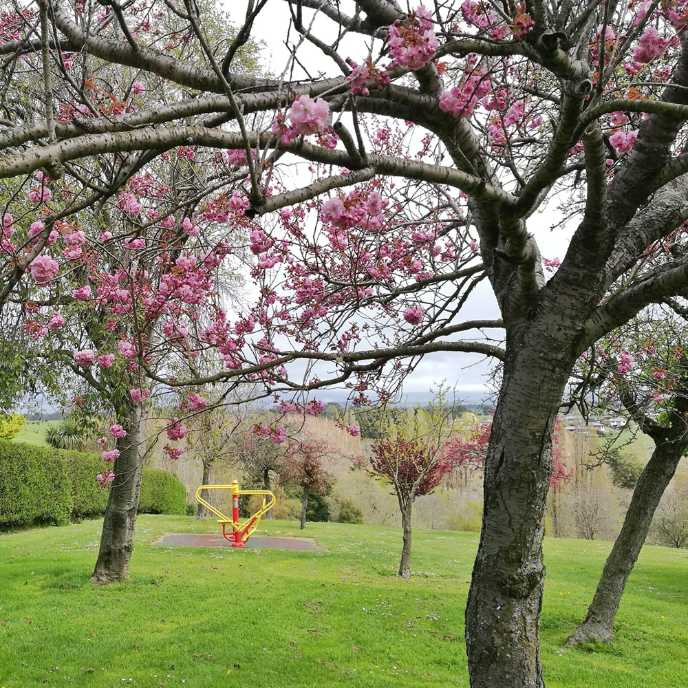 WuHooTimaru CentennialPark ZigZag_123417 01