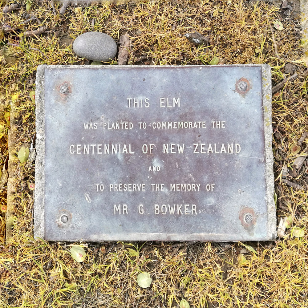 WuHooTimaru CentennialPark ZigZag_123526 01