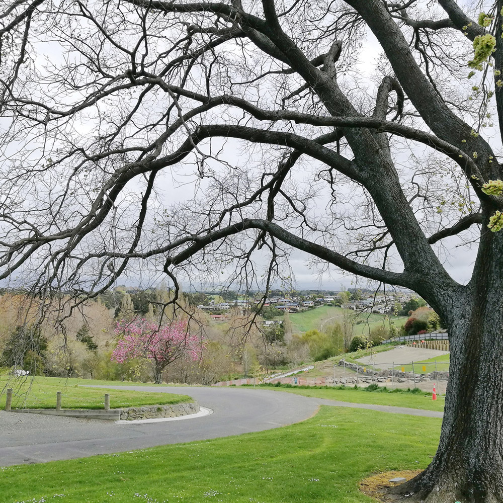 WuHooTimaru CentennialPark ZigZag_123702 01