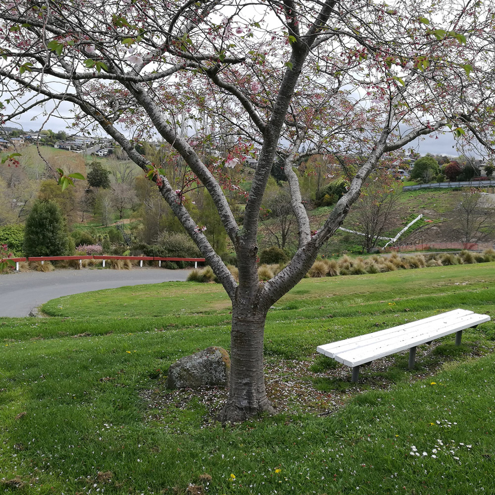 WuHooTimaru CentennialPark ZigZag_123859 01