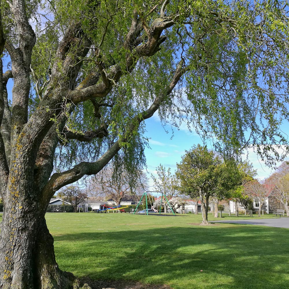 WuHooTimaru GlenitiPark Playground 060 160904 01
