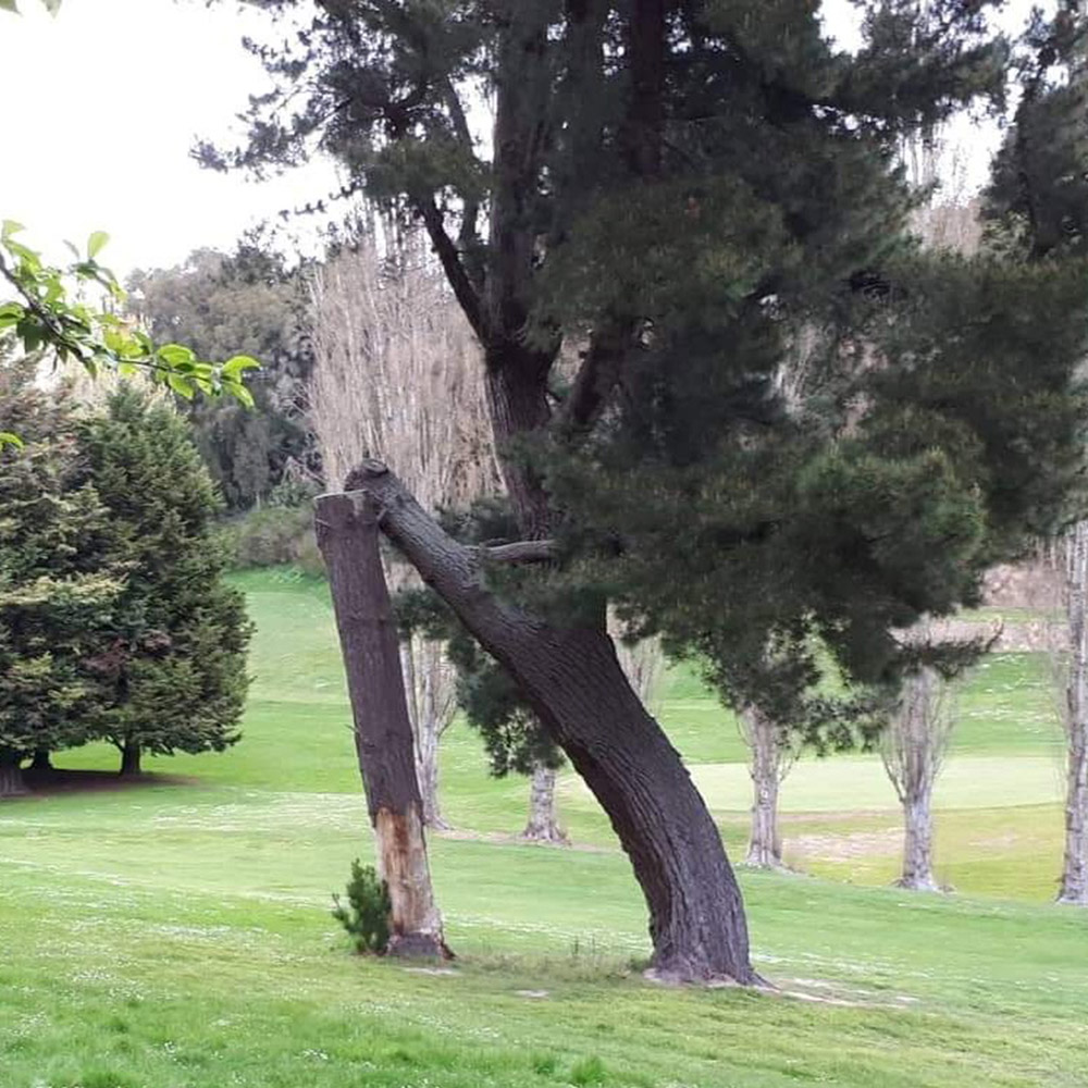 WuHooTimaru Playground LindsaySt 0714291 01