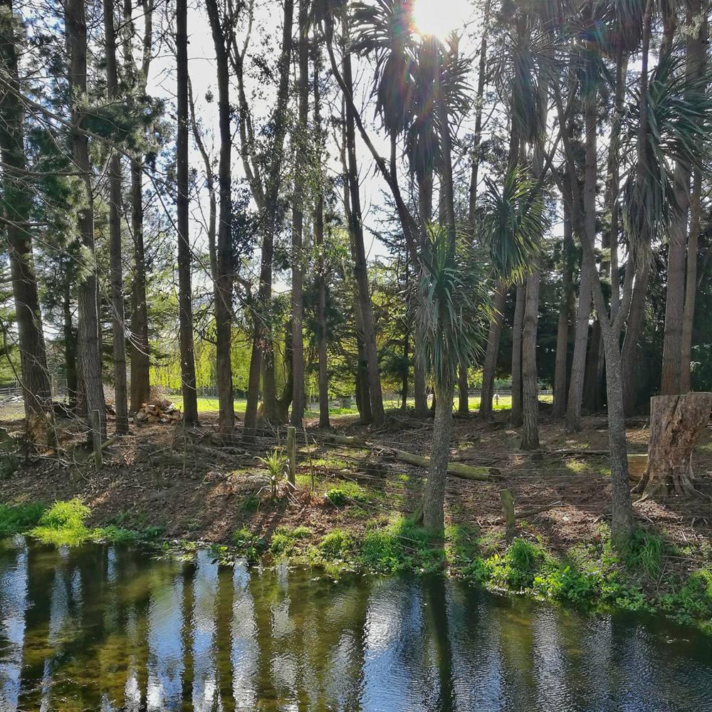 WuHoo Playground HalsteadRd 160007 01