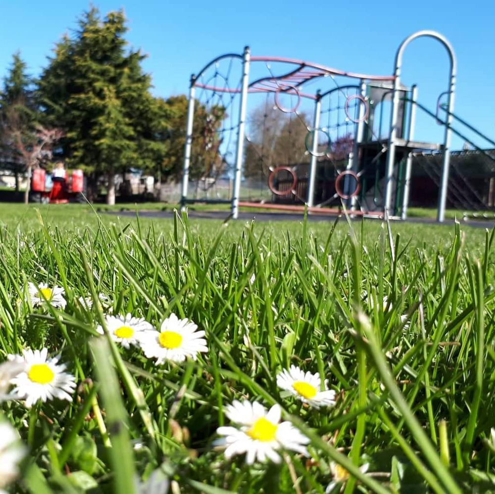 WuHooTimaru StLeonardsRd_75668233 01