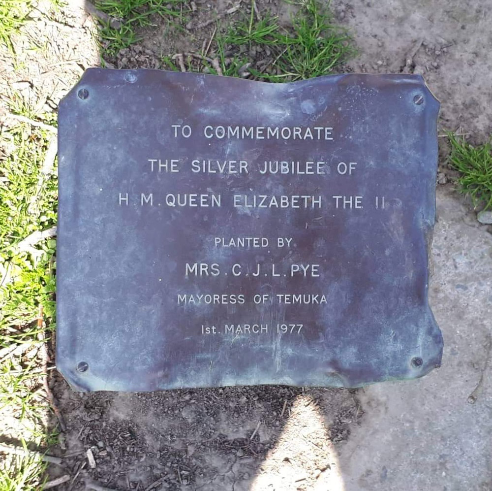 WuHoo Playground TemukaDomain 2259266 01